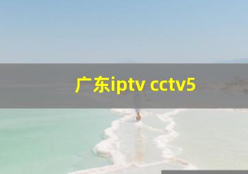 广东iptv cctv5